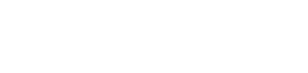 Dingwalls logo white transparent (1)